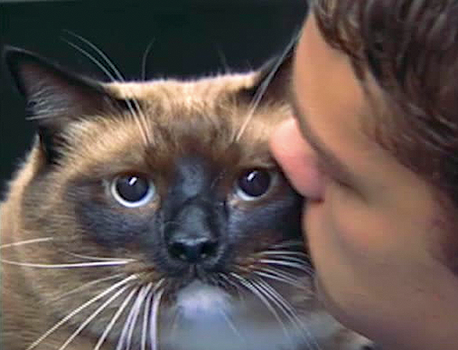 Unlikely Friendships